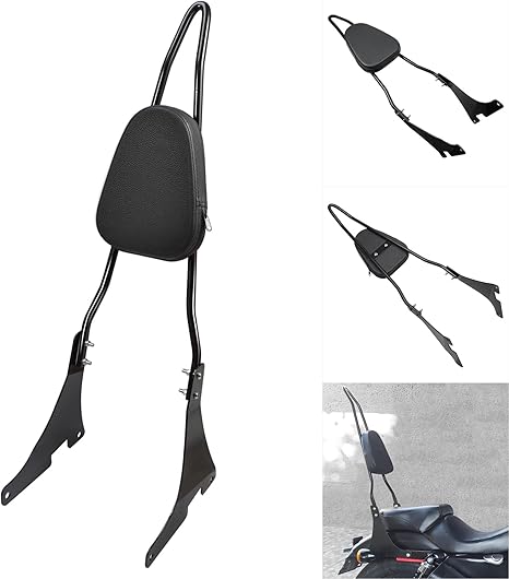 Benlari Gloss Black Detachable Sissy Bar