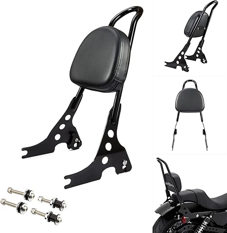 Benlari Passenger Backrest
